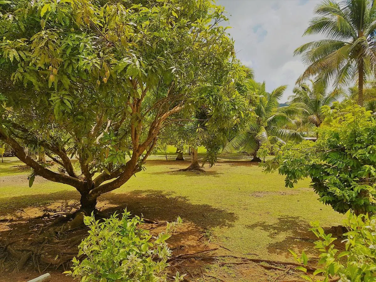 Villa Huahine - Tipanier House à Haapu